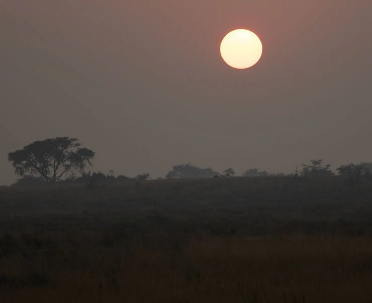 kibale-primate-lodge-night-walks-experience-image-square