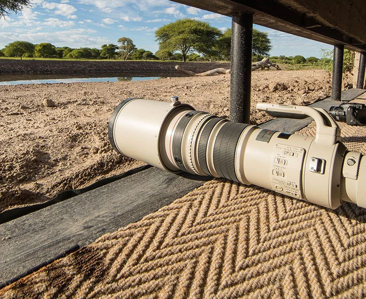 kalahari-dinaka-safari-lodge-experience-photographic-safari-image-square