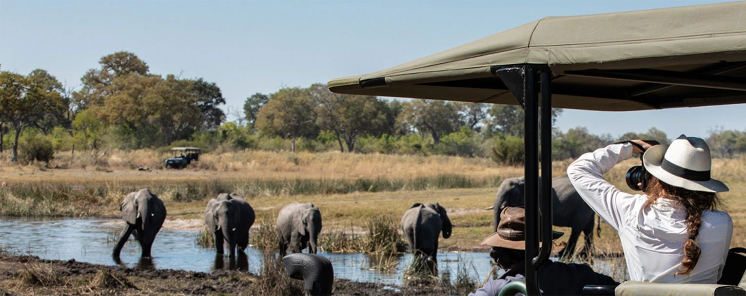 okavango-delta-experience-image-photography-trips-rectangle