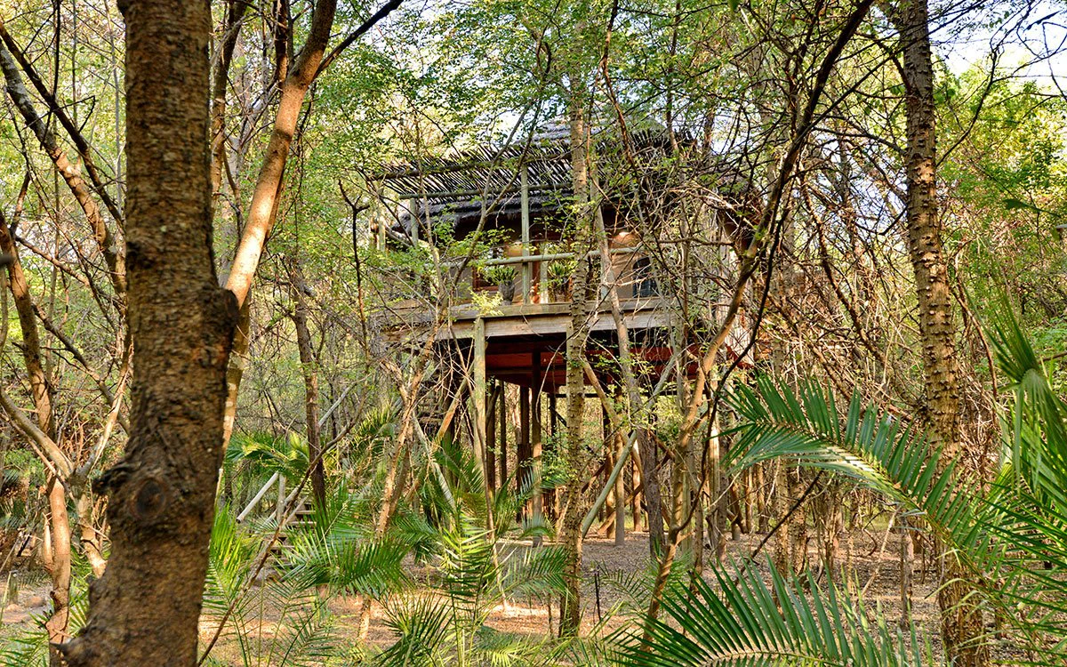 chobe-bakwena-eco-lodge-overview-image (1)