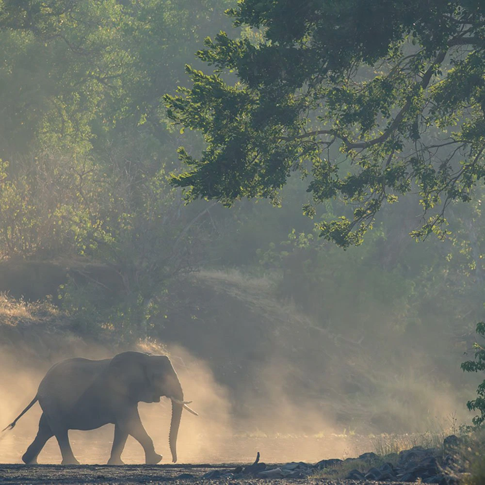 mashatu-ttd-crossroads-of-conservation