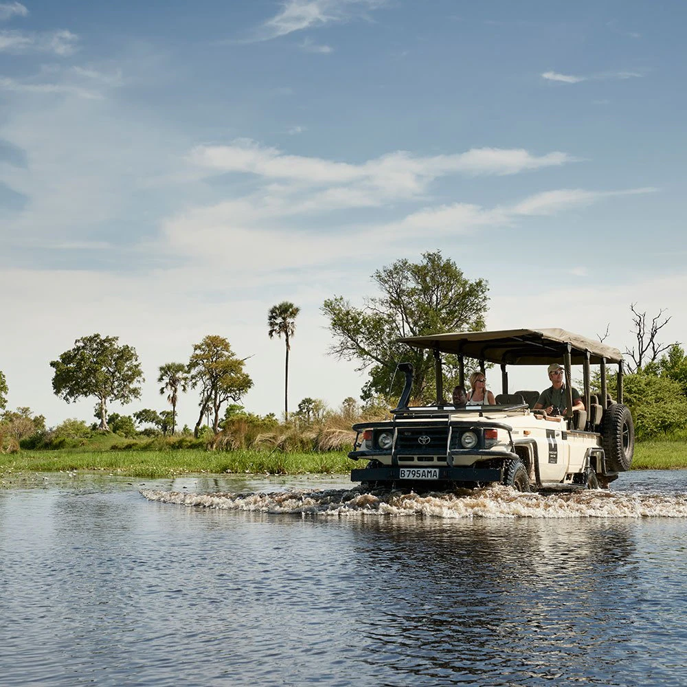 moremi-ttd-deep-in-the-delta
