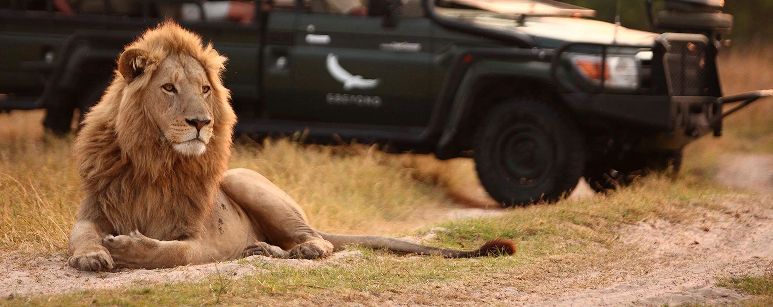okavango-sandibe-okavango-lodge-experience-the-big-five-rectangle