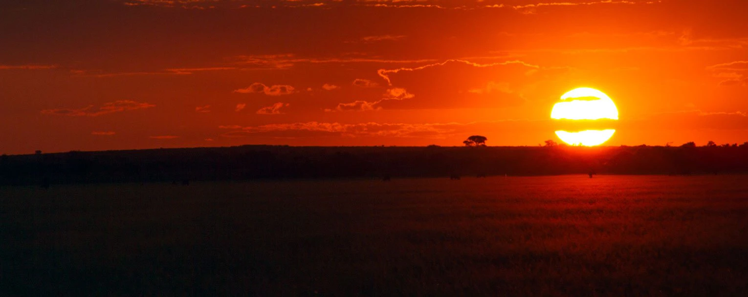 kalahari-dinaka-safari-lodge-experience-night-drives-image-rectangle