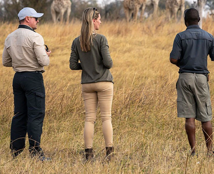 linyanti-savuti-camp-experience-walking-safari-square
