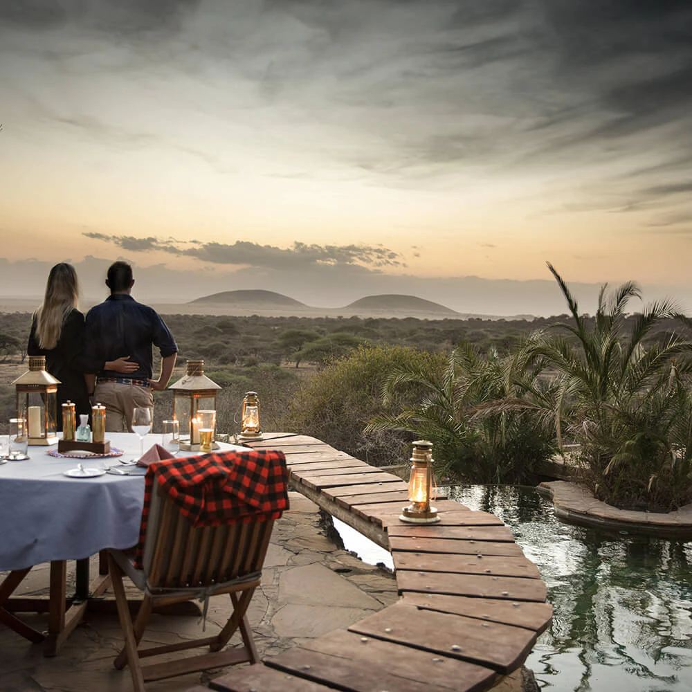 https://ttw-marketing-images.imgix.net/2025/03/1l0Pzb4c-ttw-safari-luxury-honeymoons.jpg?auto=format&q=80