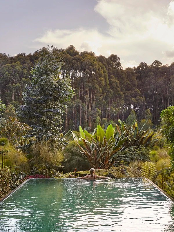 Guest relaxing in an infinity pool surrounded by lush rainforest at a luxury safari lodge in Rwanda, offering serene views and immersive nature experiences.