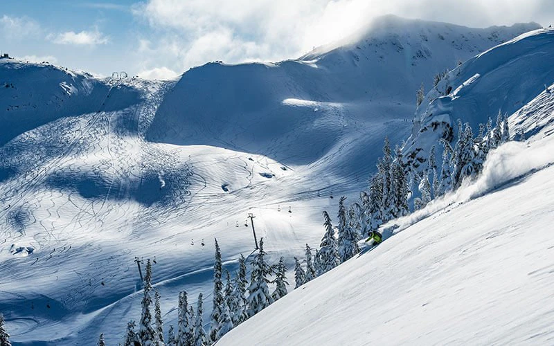 Snow-covered mountain vistas with cedar cabins, illustrating wilderness immersion through Whistler Luxury Rentals.