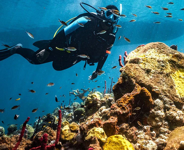 beach-landing-page-experience-square-scuba-diving-