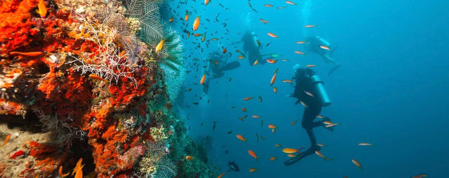 lamu-experiences-scuba-diving-rectangle-2